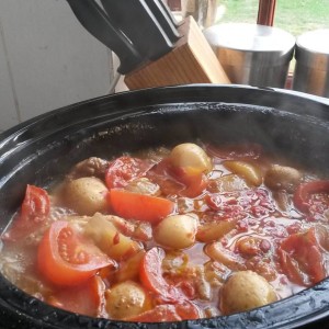 Slow cooked chicken with baby potatoes, tomato and onion