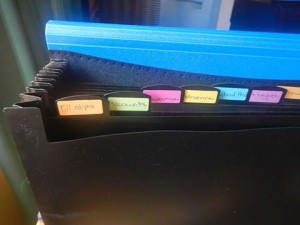 I use this filing system for the month and then clear it into a file when the month is over