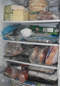 My Freezer